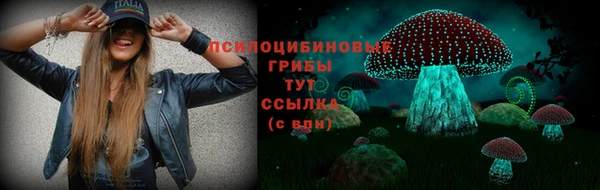 СК Аркадак