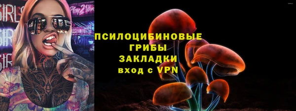 сатива Армянск