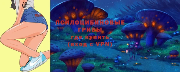 сатива Армянск
